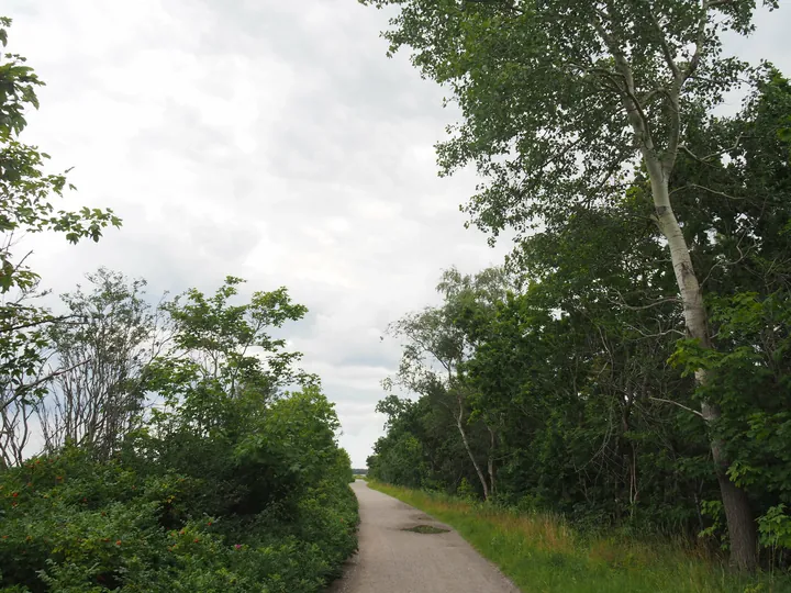 Halshuisene + Enebaerodde Beach (Denemarken)